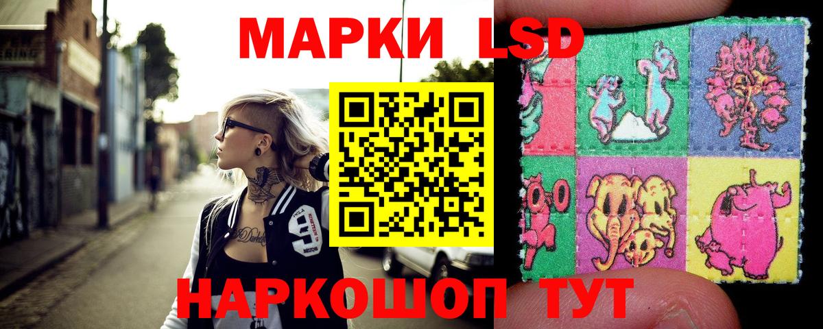 МЕФ Рубцовск