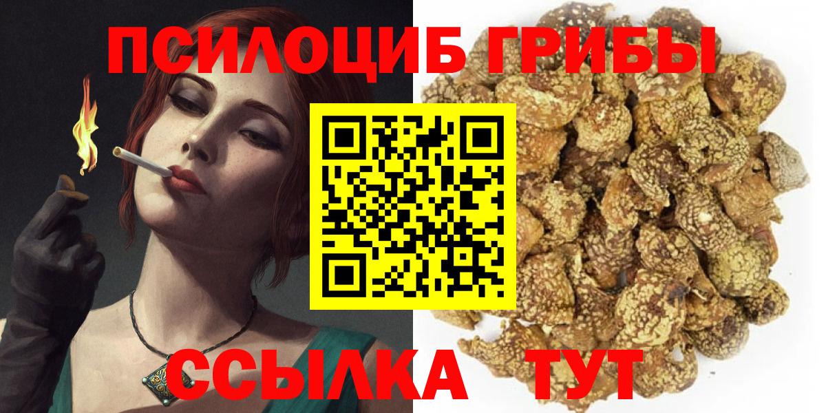 Галлюциногенные грибы мицелий  сколько стоит  Рубцовск  Вход с VPN 