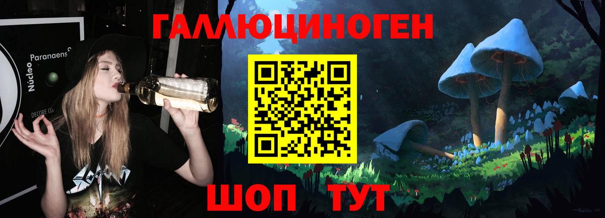 Псилоцибиновые грибы Psilocybe  Псилоцибиновые грибы мицелий  Рубцовск 